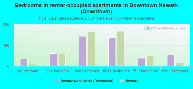 Bedrooms in renter-occupied apartments in Downtown Newark (Downtown)