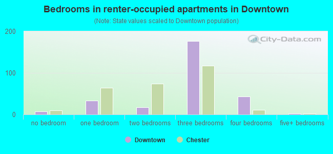 Bedrooms in renter-occupied apartments in Downtown