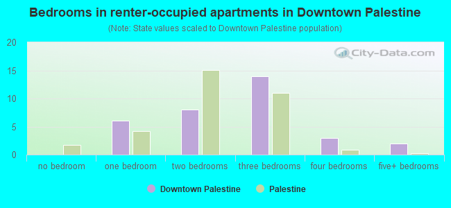 Bedrooms in renter-occupied apartments in Downtown Palestine