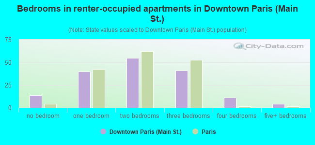 Bedrooms in renter-occupied apartments in Downtown Paris (Main St.)