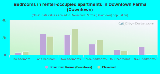 Bedrooms in renter-occupied apartments in Downtown Parma (Downtown)