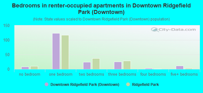 Bedrooms in renter-occupied apartments in Downtown Ridgefield Park (Downtown)