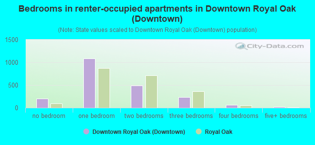 Bedrooms in renter-occupied apartments in Downtown Royal Oak (Downtown)