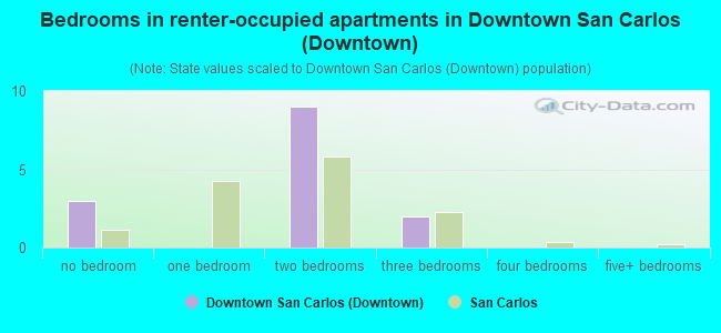 Bedrooms in renter-occupied apartments in Downtown San Carlos (Downtown)