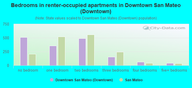 Bedrooms in renter-occupied apartments in Downtown San Mateo (Downtown)