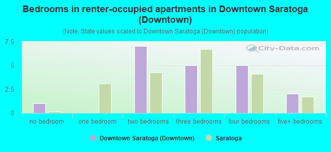Bedrooms in renter-occupied apartments in Downtown Saratoga (Downtown)