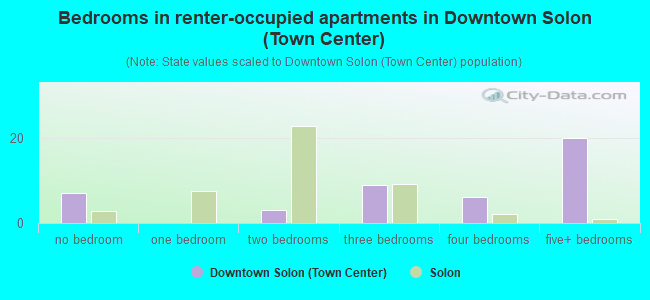 Bedrooms in renter-occupied apartments in Downtown Solon (Town Center)