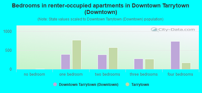 Bedrooms in renter-occupied apartments in Downtown Tarrytown (Downtown)