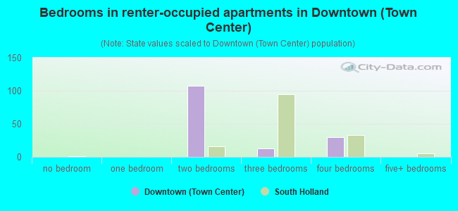 Bedrooms in renter-occupied apartments in Downtown (Town Center)