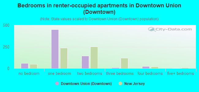 Bedrooms in renter-occupied apartments in Downtown Union (Downtown)