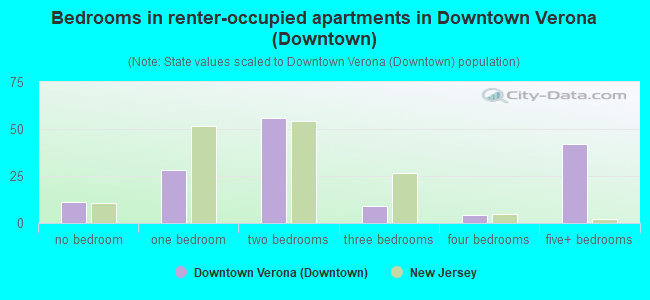 Bedrooms in renter-occupied apartments in Downtown Verona (Downtown)