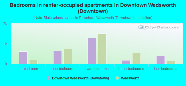 Bedrooms in renter-occupied apartments in Downtown Wadsworth (Downtown)
