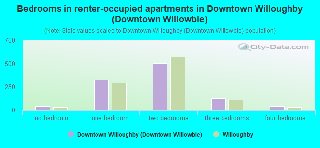 Bedrooms in renter-occupied apartments in Downtown Willoughby (Downtown Willowbie)