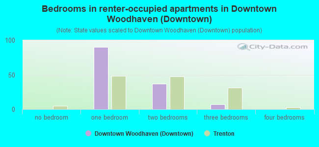 Bedrooms in renter-occupied apartments in Downtown Woodhaven (Downtown)