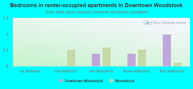 Bedrooms in renter-occupied apartments in Downtown Woodstock