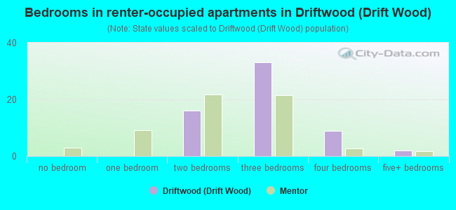 Bedrooms in renter-occupied apartments in Driftwood (Drift Wood)