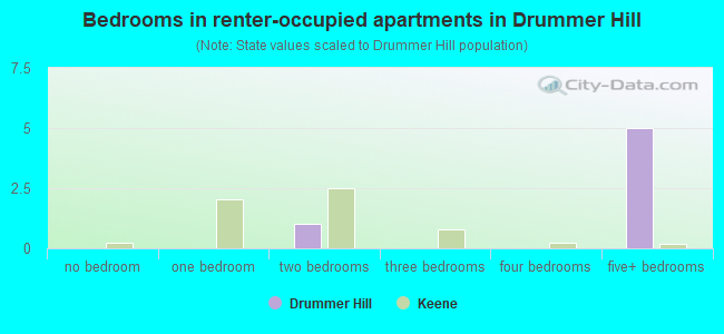 Bedrooms in renter-occupied apartments in Drummer Hill