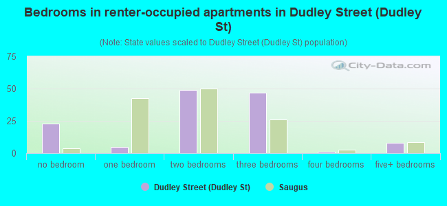 Bedrooms in renter-occupied apartments in Dudley Street (Dudley St)
