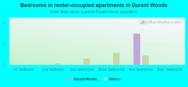 Bedrooms in renter-occupied apartments in Durant Woods