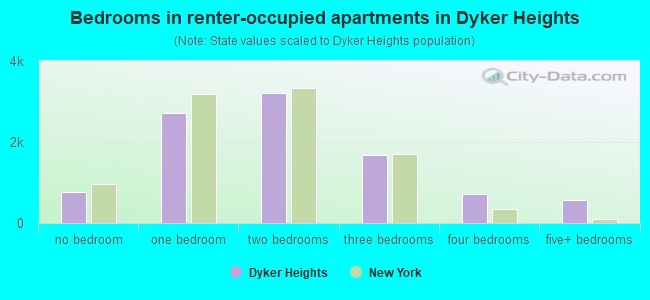 Bedrooms in renter-occupied apartments in Dyker Heights