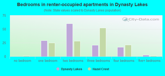 Bedrooms in renter-occupied apartments in Dynasty Lakes