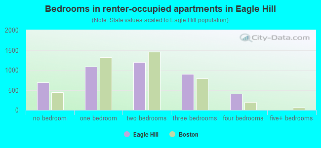 Bedrooms in renter-occupied apartments in Eagle Hill