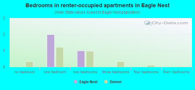 Bedrooms in renter-occupied apartments in Eagle Nest