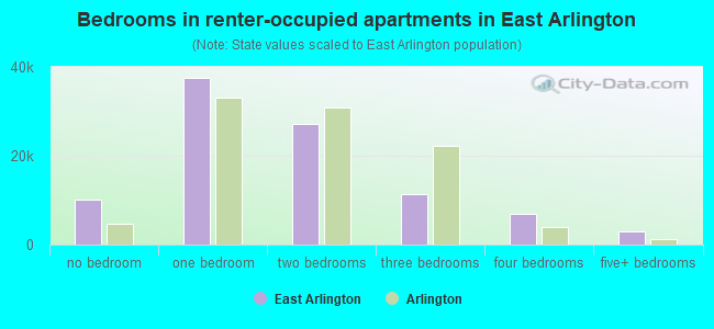 Bedrooms in renter-occupied apartments in East Arlington