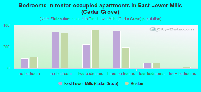 Bedrooms in renter-occupied apartments in East Lower Mills (Cedar Grove)