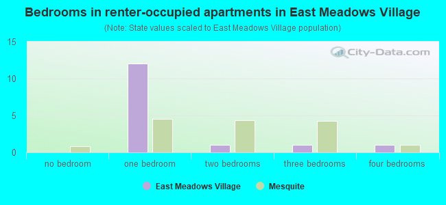 Bedrooms in renter-occupied apartments in East Meadows Village