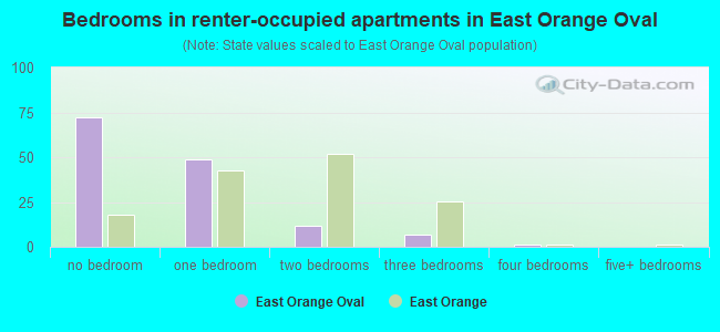 Bedrooms in renter-occupied apartments in East Orange Oval