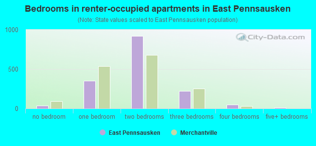 Bedrooms in renter-occupied apartments in East Pennsausken