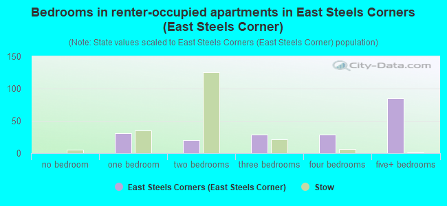 Bedrooms in renter-occupied apartments in East Steels Corners (East Steels Corner)