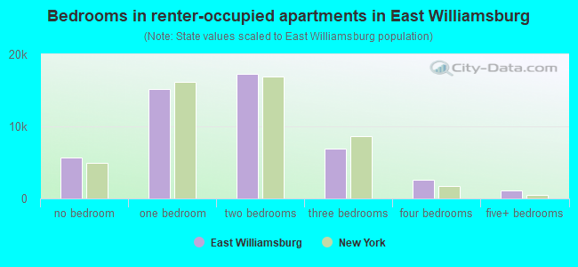 Bedrooms in renter-occupied apartments in East Williamsburg