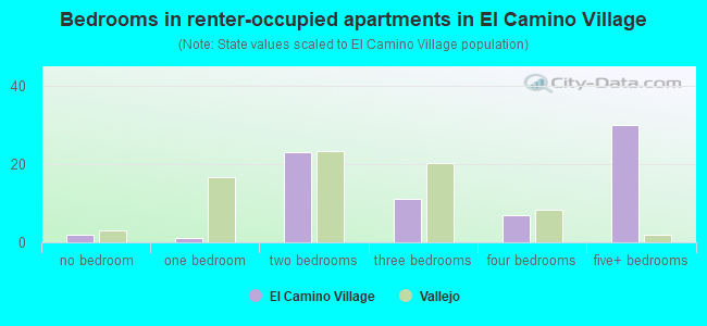 Bedrooms in renter-occupied apartments in El Camino Village