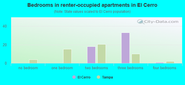 Bedrooms in renter-occupied apartments in El Cerro