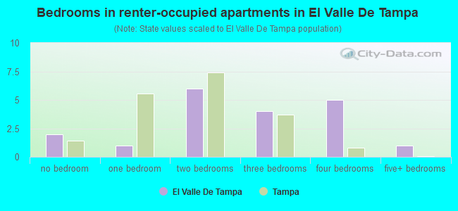 Bedrooms in renter-occupied apartments in El Valle De Tampa