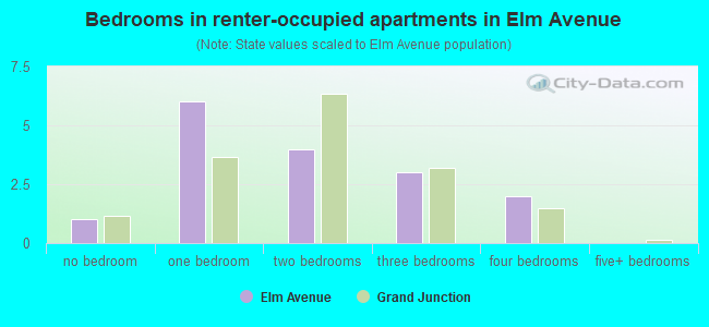 Bedrooms in renter-occupied apartments in Elm Avenue