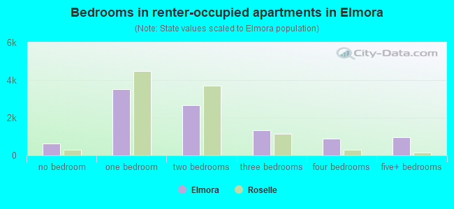 Bedrooms in renter-occupied apartments in Elmora