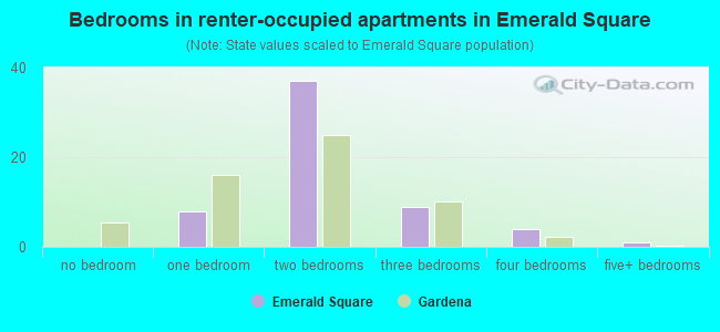 Bedrooms in renter-occupied apartments in Emerald Square