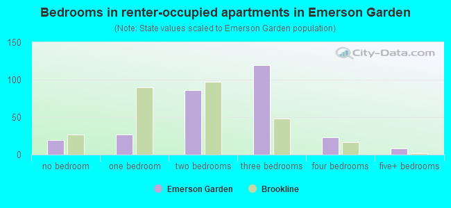 Bedrooms in renter-occupied apartments in Emerson Garden