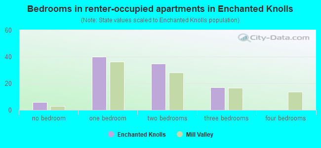 Bedrooms in renter-occupied apartments in Enchanted Knolls
