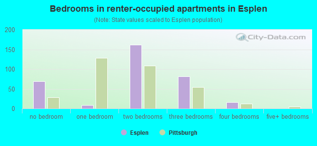 Bedrooms in renter-occupied apartments in Esplen
