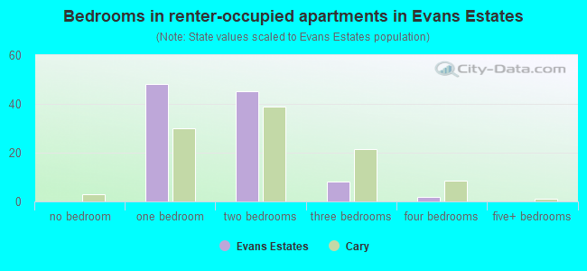 Bedrooms in renter-occupied apartments in Evans Estates