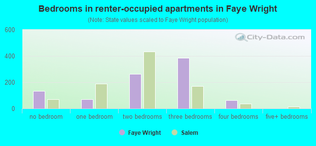 Bedrooms in renter-occupied apartments in Faye Wright