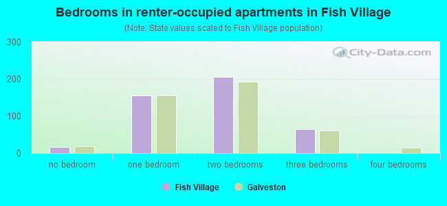 Bedrooms in renter-occupied apartments in Fish Village