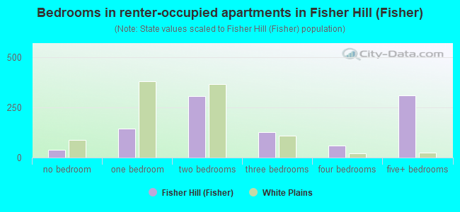 Bedrooms in renter-occupied apartments in Fisher Hill (Fisher)