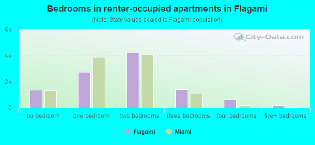 Bedrooms in renter-occupied apartments in Flagami