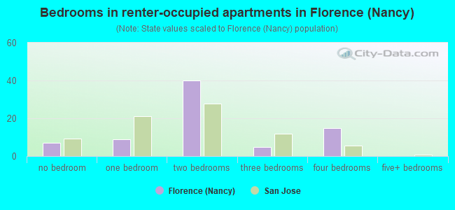 Bedrooms in renter-occupied apartments in Florence (Nancy)