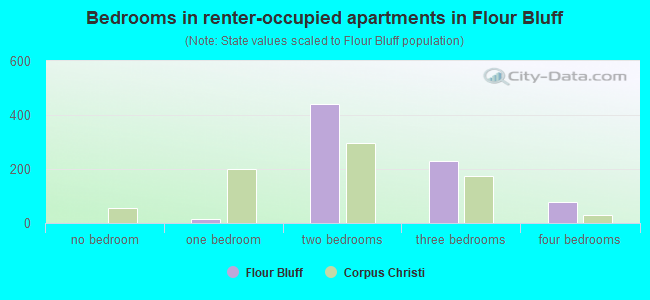 Bedrooms in renter-occupied apartments in Flour Bluff